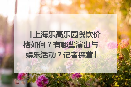 上海乐高乐园餐饮价格如何？有哪些演出与娱乐活动？记者探营