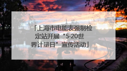 上海市电能表强制检定站开展“5·20世界计量日”宣传活动