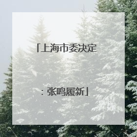 上海市委决定：张鸣履新