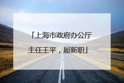 上海市政府办公厅主任王平，履新职
