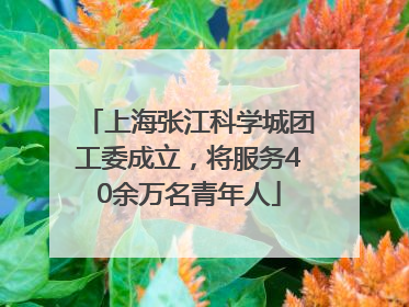 上海张江科学城团工委成立，将服务40余万名青年人