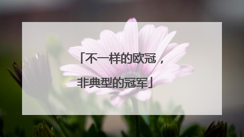 不一样的欧冠，非典型的冠军