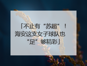 不止有“苏超”！海安这支女子球队也“足”够精彩