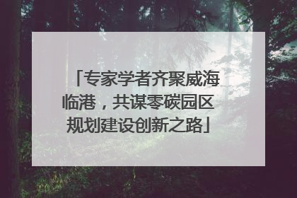 专家学者齐聚威海临港，共谋零碳园区规划建设创新之路