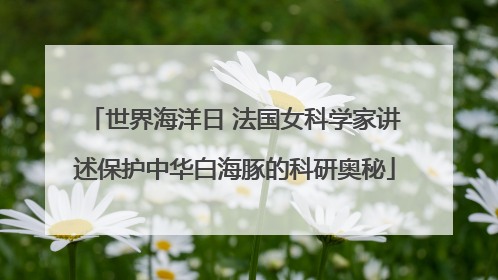 世界海洋日 法国女科学家讲述保护中华白海豚的科研奥秘