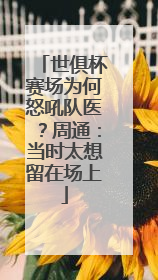 世俱杯赛场为何怒吼队医？周通：当时太想留在场上