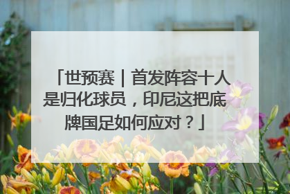世预赛｜首发阵容十人是归化球员，印尼这把底牌国足如何应对？