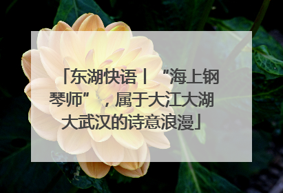 东湖快语丨“海上钢琴师”，属于大江大湖大武汉的诗意浪漫