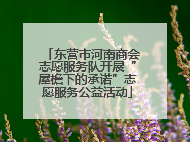 东营市河南商会志愿服务队开展“屋檐下的承诺”志愿服务公益活动