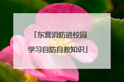 东营消防进校园 学习自防自救知识