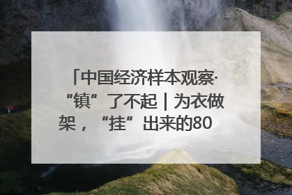中国经济样本观察·“镇”了不起｜为衣做架，“挂”出来的80亿元“衣架产业”