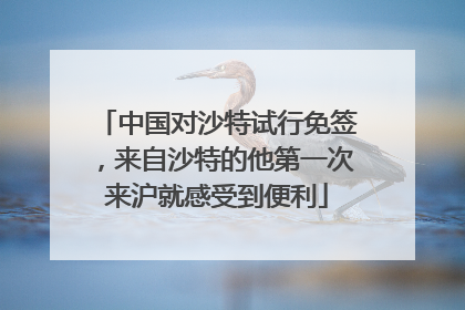 中国对沙特试行免签，来自沙特的他第一次来沪就感受到便利