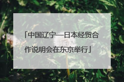 中国辽宁—日本经贸合作说明会在东京举行