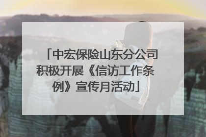 中宏保险山东分公司积极开展《信访工作条例》宣传月活动