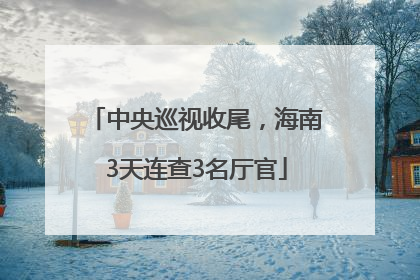 中央巡视收尾，海南3天连查3名厅官