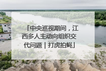 中央巡视期间，江西多人主动向组织交代问题｜打虎拍蝇