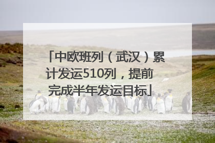 中欧班列（武汉）累计发运510列，提前完成半年发运目标