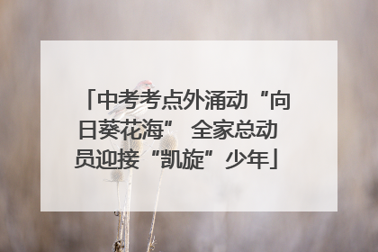 中考考点外涌动“向日葵花海” 全家总动员迎接“凯旋”少年