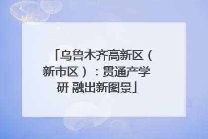 乌鲁木齐高新区（新市区）：贯通产学研 融出新图景