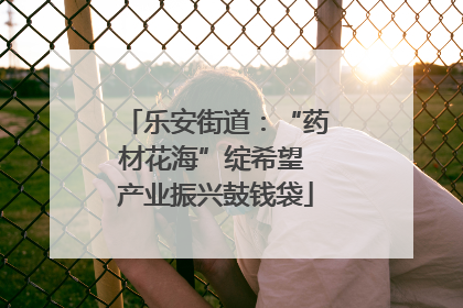 乐安街道：“药材花海”绽希望 产业振兴鼓钱袋
