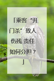 乘客“开门杀”致人伤残 责任如何分担？