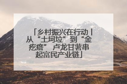乡村振兴在行动丨从“土坷垃”到“金疙瘩” 卢龙甘薯串起富民产业链