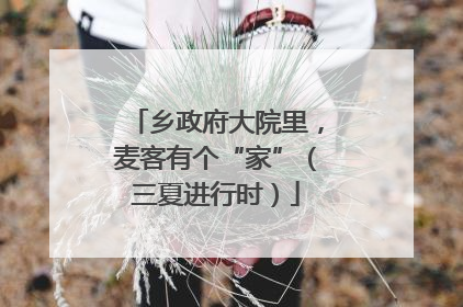 乡政府大院里，麦客有个“家”（三夏进行时）