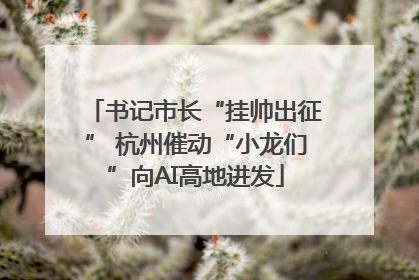 书记市长“挂帅出征” 杭州催动“小龙们”向AI高地进发
