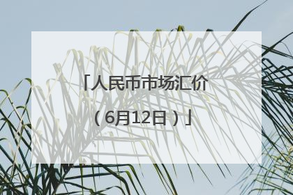 人民币市场汇价（6月12日）