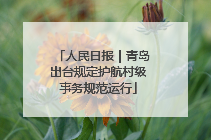 人民日报｜青岛出台规定护航村级事务规范运行