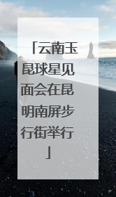 云南玉昆球星见面会在昆明南屏步行街举行