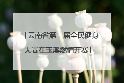 云南省第一届全民健身大赛在玉溪燃情开赛