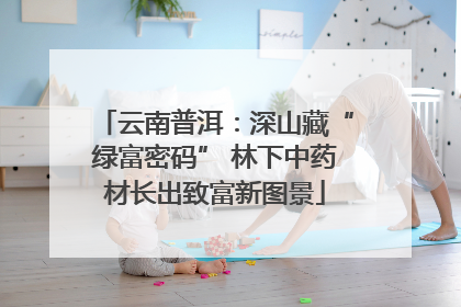 云南普洱：深山藏“绿富密码” 林下中药材长出致富新图景