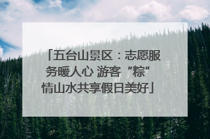 五台山景区：志愿服务暖人心 游客“粽”情山水共享假日美好