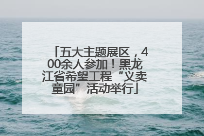 五大主题展区，400余人参加！黑龙江省希望工程“义卖童园”活动举行