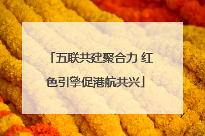 五联共建聚合力 红色引擎促港航共兴
