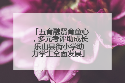 五育融贤育童心，多元考评助成长 乐山县街小学助力学生全面发展