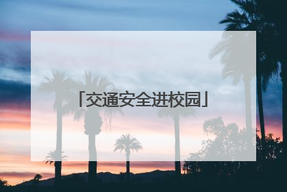 交通安全进校园