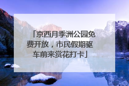 京西月季洲公园免费开放，市民假期驱车前来赏花打卡