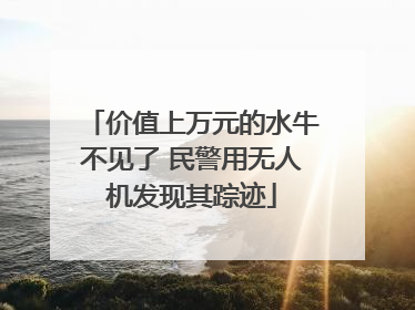价值上万元的水牛不见了 民警用无人机发现其踪迹