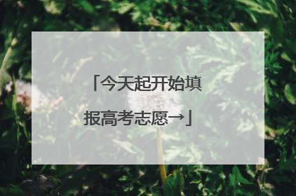 今天起开始填报高考志愿→
