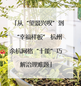 从“望景兴叹”到“幸福样板” 杭州余杭网格“十能”巧解治理难题