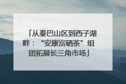 从秦巴山区到西子湖畔：“安康富硒茶”组团拓展长三角市场