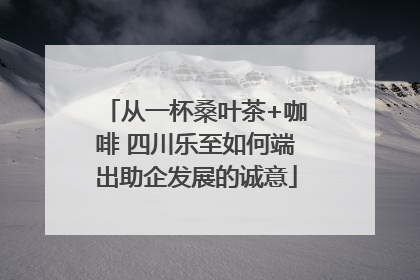 从一杯桑叶茶+咖啡 四川乐至如何端出助企发展的诚意