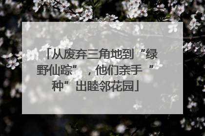 从废弃三角地到“绿野仙踪”，他们亲手“种”出睦邻花园