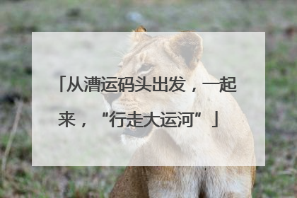 从漕运码头出发，一起来，“行走大运河”
