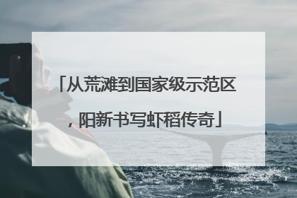 从荒滩到国家级示范区，阳新书写虾稻传奇