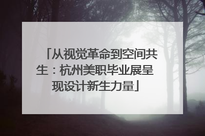 从视觉革命到空间共生：杭州美职毕业展呈现设计新生力量