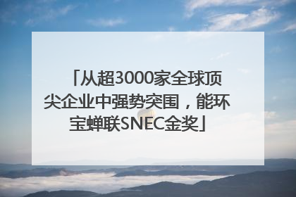 从超3000家全球顶尖企业中强势突围，能环宝蝉联SNEC金奖