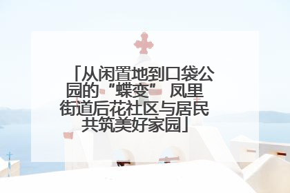 从闲置地到口袋公园的“蝶变” 凤里街道后花社区与居民共筑美好家园